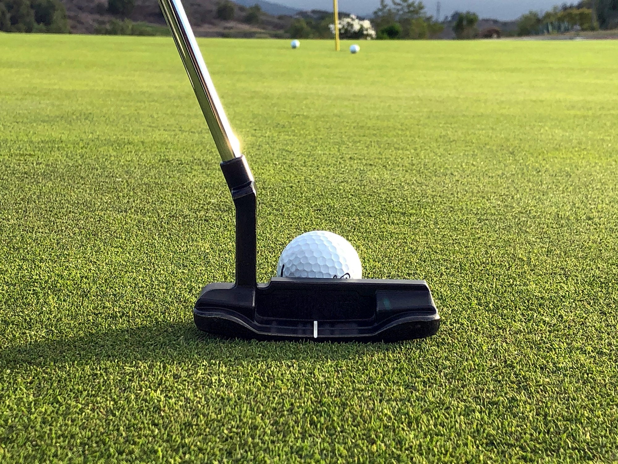 Putter in Ansprechposition hinter dem Golfball auf dem Grün